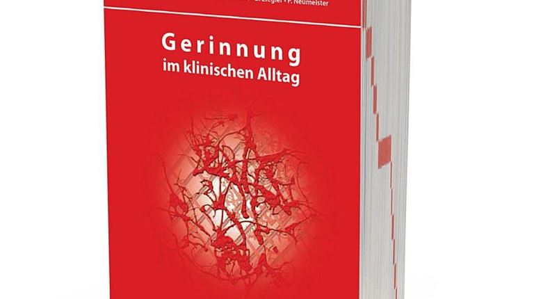 Titelbild IGS Buch