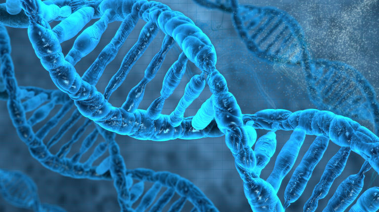 DNA